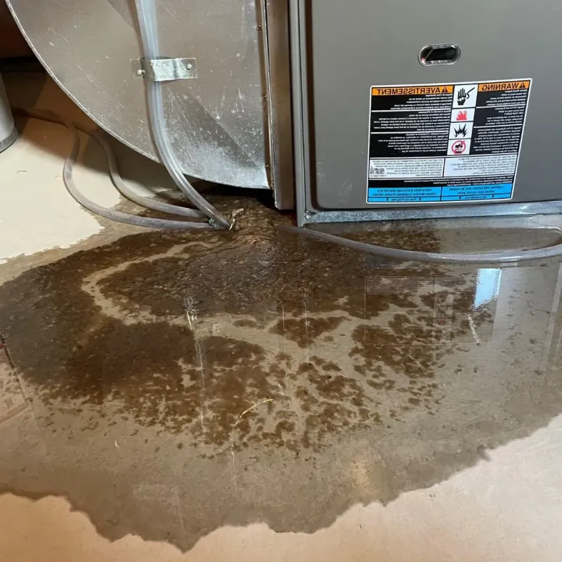Pipe Burst and Leak Restoration in North Catasauqua, PA